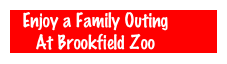 Enjoy a Family Outing
At Brookfield Zoo